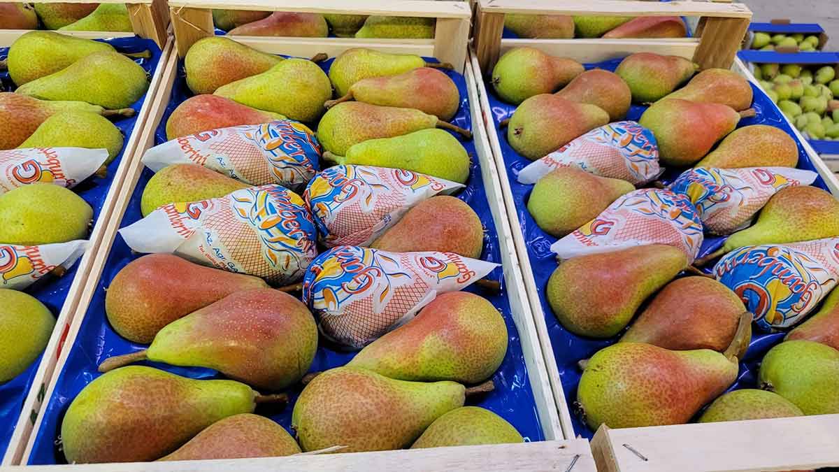 Pera Carmen calibro 20 - Emilia Romagna - 2,50/2,60 euro al chilogrammo